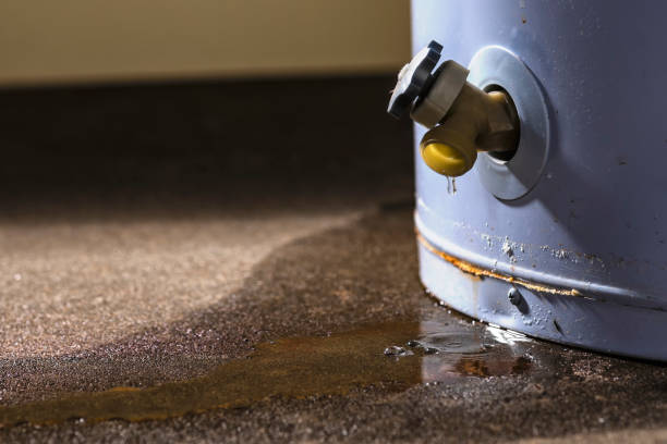 Sewage cleanup and water damage restoration in Campton Hills, IL