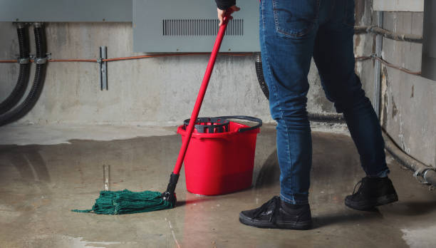 Best Emergency water damage restoration  in Campton Hls, IL