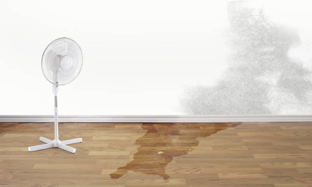 Fire Damage Restoration in Campton Hills, IL