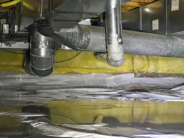 Best Carpet water damage restoration  in Campton Hls, IL
